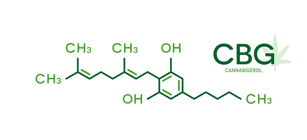 Cos'è il Cannabigerolo (CBG)?