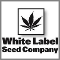 White Label Seeds